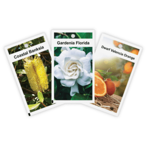 Pictorial plant label printing tags